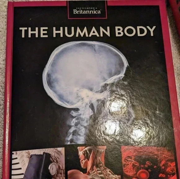 Encyclopedia Britannica How Things Work Planet Earth Transportation Set of 6 HC - Picture 6 of 12